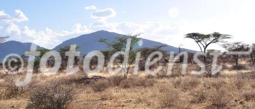 Auf Safari (Ganme Drive) durchthrough Samburu & Shaba Nationalpark in Kenya mit einem 4x4 Landrover auf Pirschfahrt beim Joy's Camp auf den Spuren von Joy & George Adamson