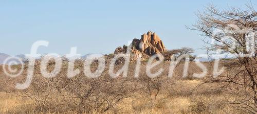 Auf Safari (Ganme Drive) durchthrough Samburu & Shaba Nationalpark in Kenya mit einem 4x4 Landrover auf Pirschfahrt beim Joy's Camp auf den Spuren von Joy & George Adamson