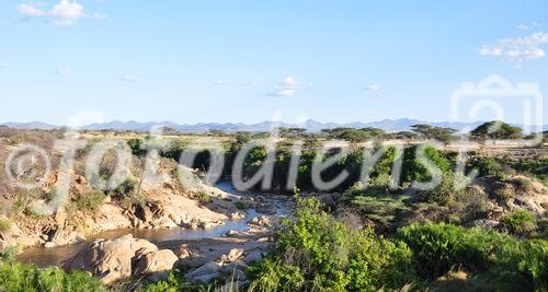 Lebensader in der Wüste: Am Ngiro River im Shaba & Samburu Nationalpark. 