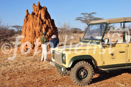 Gigantische Termitenbauten im Shaba & Samburu Nationalpark unweit von Joy's Camp. Giant Thermites-hills and constructions in the desert of Shaba & Samburu National Parks