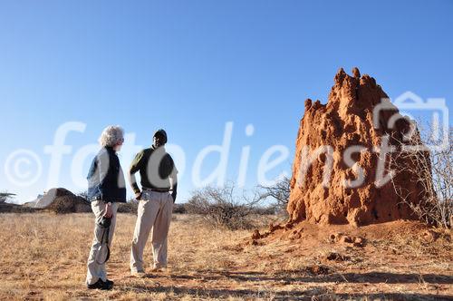 Gigantische Termitenbauten im Shaba & Samburu Nationalpark unweit von Joy's Camp. Giant Thermites-hills and constructions in the desert of Shaba & Samburu National Parks