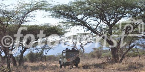 Auf Safari (Ganme Drive) durchthrough Samburu & Shaba Nationalpark in Kenya mit einem 4x4 Landrover auf Pirschfahrt beim Joy's Camp von Joy & George Adamson