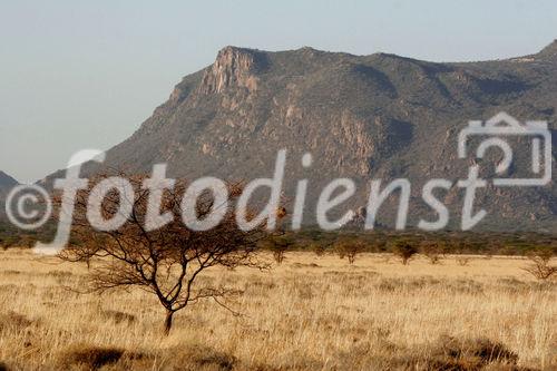 Beautifull landscape in the desert of Samburu & Shaba Nationalpark. Fantasitische Landschaftsbilder im Shaba NAtionalpark