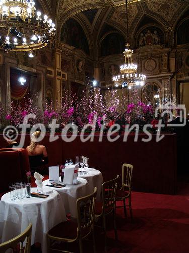 (c) fotodienst/ Sonja Burtscher- Wien 19.2.2009- In unverändert glamouröser Weise ist auch 2009 wieder der Ball der Bälle in der Wiener Staatsoper über die Bühne gegangen. Die trotz Wirtschaftskrise zahlreich erschienene Prominenz hat sich bis in den Morgen zum Walzer gedreht.