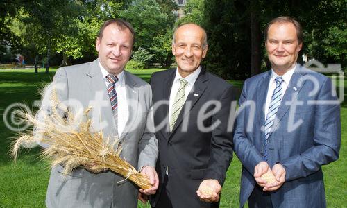 (C) fotodienst.at / Anna Rauchenberger - Wien, am 05.08.2011 - Vorerst musste, aufgrund des sonnigen und sehr trockenen Frühjahrs, von einer geringeren Erntemenge bei Getreide ausgegangen werden. Umso mehr überrascheten die erfreulichen Ergebnisse an Mengen und Qulitäten zum Ernteauftakt. Der späte Regen hatte eine äußerst positive Auswirkung auf die Entwicklung der Kornbildung. Somit konnten Erträge eingefahren werden, die bei optischer Beurteilung der Bestände nicht zu erwarten waren. Doch wie schon im letzten Jahr wurde der Ernteverlauf Mitte Juli abrupt von nasskaltem Wetter gestoppt. Besonders bei den noch immer am Feld stehenden Weizenbeständen kann es bei anhaltend schlechter Witterung zu Auswirkungen bei der Fallzahl kommen. FOTO v.l.: Dipl.-Ing. Günter Griesmayr, Vorstandsvorsitzender der Agrarmarkt Austria, Präsident ÖkR Franz Stefan Hautzinger, Vorsitzender des Verwaltungsrates der Agrarmarkt Austria und des Fachbeirates für Getreide, Christian Gessl, Abteilungsleiter Agrarmarkt Austria 'Marktordnungen, Markt- und Preisberichte'