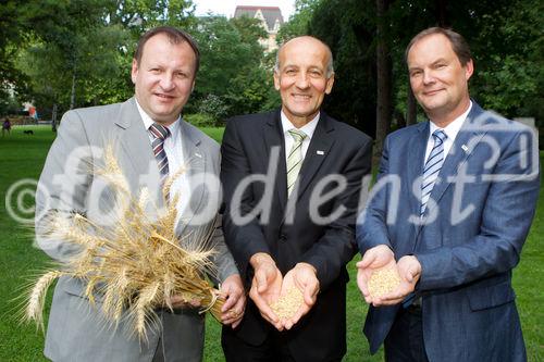 (C) fotodienst.at / Anna Rauchenberger - Wien, am 05.08.2011 - Vorerst musste, aufgrund des sonnigen und sehr trockenen Frühjahrs, von einer geringeren Erntemenge bei Getreide ausgegangen werden. Umso mehr überrascheten die erfreulichen Ergebnisse an Mengen und Qulitäten zum Ernteauftakt. Der späte Regen hatte eine äußerst positive Auswirkung auf die Entwicklung der Kornbildung. Somit konnten Erträge eingefahren werden, die bei optischer Beurteilung der Bestände nicht zu erwarten waren. Doch wie schon im letzten Jahr wurde der Ernteverlauf Mitte Juli abrupt von nasskaltem Wetter gestoppt. Besonders bei den noch immer am Feld stehenden Weizenbeständen kann es bei anhaltend schlechter Witterung zu Auswirkungen bei der Fallzahl kommen. FOTO v.l.: Dipl.-Ing. Günter Griesmayr, Vorstandsvorsitzender der Agrarmarkt Austria, Präsident ÖkR Franz Stefan Hautzinger, Vorsitzender des Verwaltungsrates der Agrarmarkt Austria und des Fachbeirates für Getreide, Christian Gessl, Abteilungsleiter Agrarmarkt Austria 'Marktordnungen, Markt- und Preisberichte'