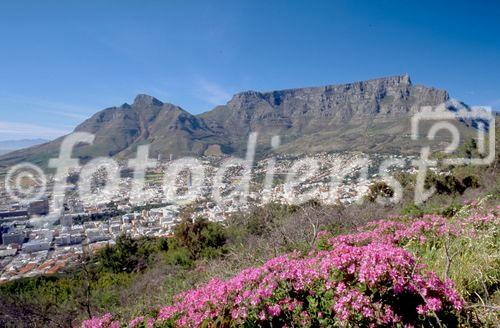 Kapstadts Tafelberg vom Lions Head aus 