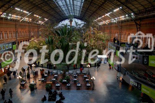 Tropischer Bahnhof Atocha in Madrid. Palmengeschmückte Halle. Bahn-Verkehrsknotenpunkt, Bahnreisenden