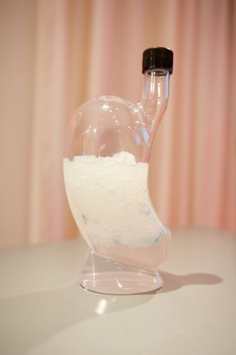  (c) fotodienst/Anna Rauchenberger - Wien, am 27.09.2012 – Jeder fünfte Erwachsene leidet einmal pro Monat unter Sodbrennen. Treten diese Beschwerden zwei bis dreimal pro Woche auf, liegt eine Refluxkrankheit vor, die bis zum Speiseröhrenkrebs führen kann. Ein neues Präparat mit dem pflanzlichen Wirkstoff Natriumalginat kann helfen. FOTO Modell eines Magens, das die Wirkung des neuen Präparats veranschaulicht: