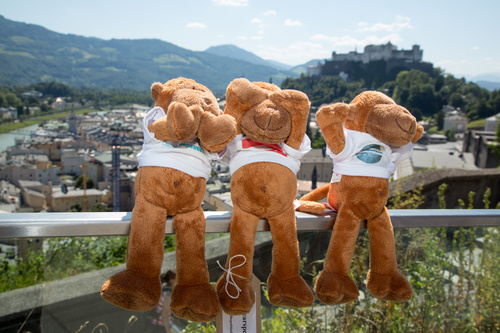  Pressekonferenz Welt-Hepatitistag, 2013-07-23; Foto Chris Hofer; Bild zeigt: Hepatitis C (symbolisch durch die Affen) - nicht sehen, nicht hören, nicht reden: