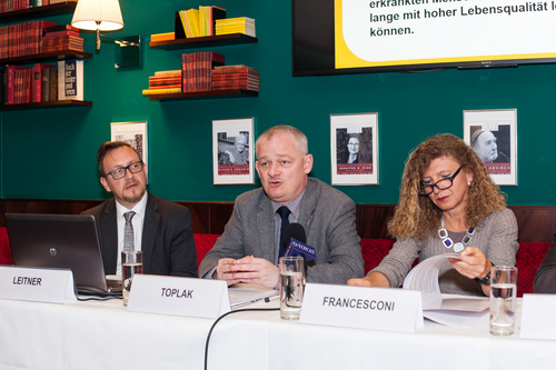 Die Österreichische Diabetes Strategie: Vom frommen Wunsch zum großen Wurf.