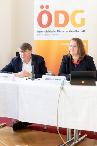  (c) fotodienst / Anna Rauchenberger - Wien, am 04.06.2024 - Pressegespräch von der Österreichischen Diabetes Gesellschaft (ÖDG) Diabetes bei Kindern und Jugendlichen - Versorgung mit knappen Ressourcen. FOTO v.l.: Prim. Univ.-Prof. Dr. Peter Fasching, MBA, Präsident der ÖDG, Klinik Ottakring, Ao.Univ.Prof. Dr. Birgit Rami-Merhar, MBA, Medizinische Universität Wien: