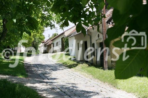 (C) fotodienst/Anna Rauchenberger - Wien, 12.06.2008 - Genuss Profi Weinviertler Schwein