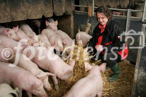 (C) Fotodienst/Anna Rauchenberger - Wien 11.09.2007 - GENUSS REGION ÖSTERREICH: Genuss Profi Tullnerfelder Schwein. FOTO: Norbert Payr, Chef und Koch im 