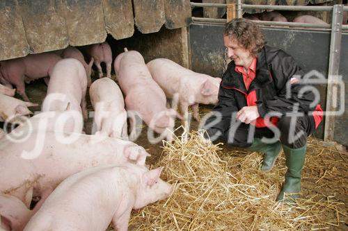 (C) Fotodienst/Anna Rauchenberger - Wien 11.09.2007 - GENUSS REGION ÖSTERREICH: Genuss Profi Tullnerfelder Schwein. FOTO: Norbert Payr, Chef und Koch im 