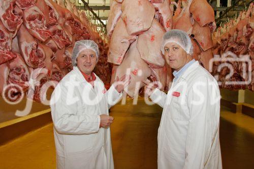 (C) Fotodienst/Anna Rauchenberger - Wien 11.09.2007 - GENUSS REGION ÖSTERREICH: Genuss Profi Tullnerfelder Schwein. FOTO: Mag. Rudolf Berger, Geschäftsführer Berger Fleischwaren führt Norbert Payr, Chef und Koch im 