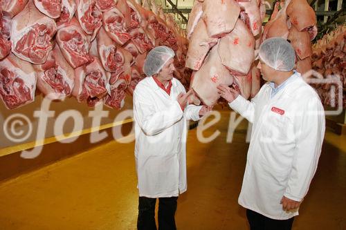 (C) Fotodienst/Anna Rauchenberger - Wien 11.09.2007 - GENUSS REGION ÖSTERREICH: Genuss Profi Tullnerfelder Schwein. FOTO: Mag. Rudolf Berger, Geschäftsführer Berger Fleischwaren führt Norbert Payr, Chef und Koch im 