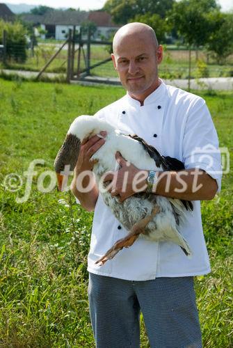 Gänseleber-Eierschwammerl Lasagne. Koch: Zoran Listek, lokaler Lieferant Siegfried Marth