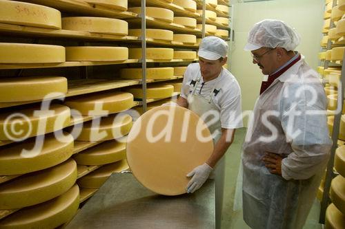 Käsemeister Josef Moser und Gastagwirt Fritz Maislinger bei der Kontrolle der Käsereifung
© fotodienst.at/Chris Hofer