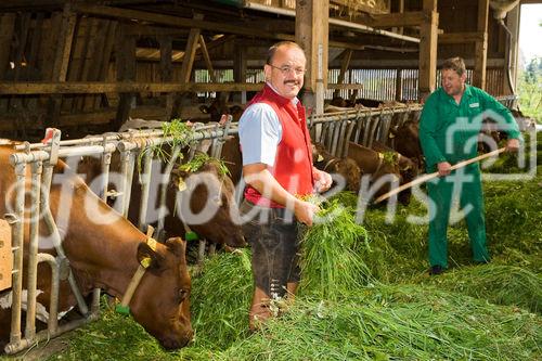 Gastagwirt Fritz Maislinger im Stall. Der Wirt betreibt auch eine Landwirtschaft und produziert Bio-Milch für seine Gäste und die Sennerei Käsehof
© fotodienst.at/Chris Hofer