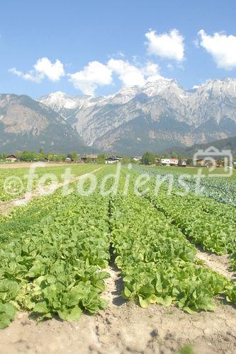 Die Region Nordtiroler Gemüse ist von Bundesminister Josef Pröll im Jahre 2006 im Rahmen der GENUSS REGION ÖSTERREICH, eine Kampagne zur Stärkung der regionalen Vielfalt und des ländlichen Raumes, ausgezeichnet worden.