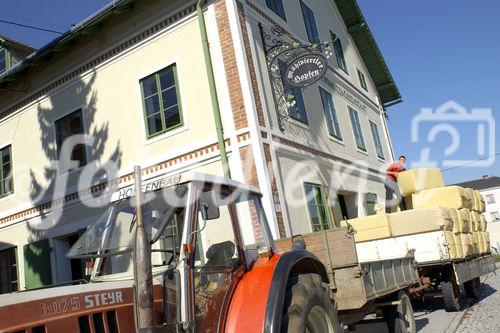 Hermann Bayer ist Geschäftsführer der
Hopfenbaugenossenschaft in Neufelden, die rund
2/3 des Mühlviertler Hopfens weiterverarbeitet
und vermarktet.                                                              