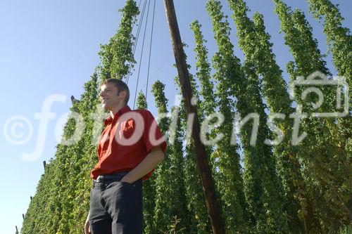 Hermann Bayer ist Geschäftsführer der
Hopfenbaugenossenschaft in Neufelden, die rund
2/3 des Mühlviertler Hopfens weiterverarbeitet
und vermarktet.                                                              