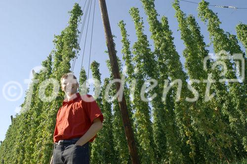 Hermann Bayer ist Geschäftsführer der
Hopfenbaugenossenschaft in Neufelden, die rund
2/3 des Mühlviertler Hopfens weiterverarbeitet
und vermarktet.                                                              