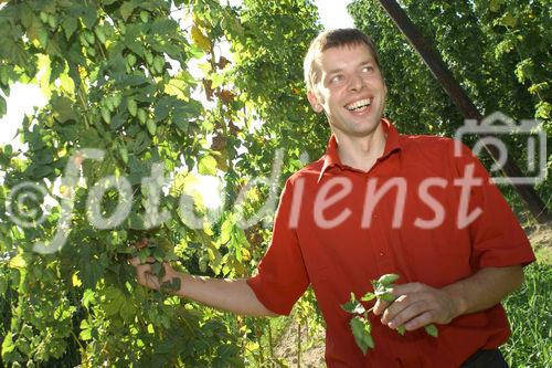 Hermann Bayer ist Geschäftsführer der
Hopfenbaugenossenschaft in Neufelden, die rund
2/3 des Mühlviertler Hopfens weiterverarbeitet
und vermarktet.                                                              