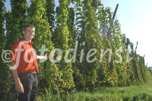 Hermann Bayer ist Geschäftsführer der
Hopfenbaugenossenschaft in Neufelden, die rund
2/3 des Mühlviertler Hopfens weiterverarbeitet
und vermarktet.                                                              