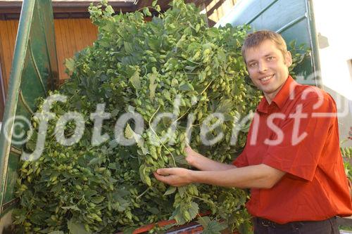 Hermann Bayer ist Geschäftsführer der
Hopfenbaugenossenschaft in Neufelden, die rund
2/3 des Mühlviertler Hopfens weiterverarbeitet
und vermarktet.                               