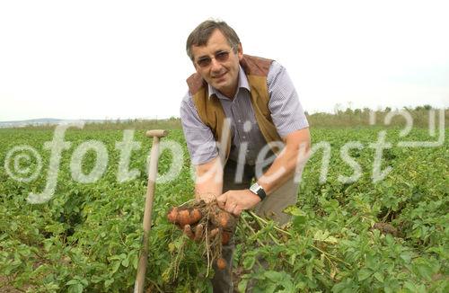 Edmund Rauchberger ist Obmann der
Erzeugerorganisation für Erdäpfel.