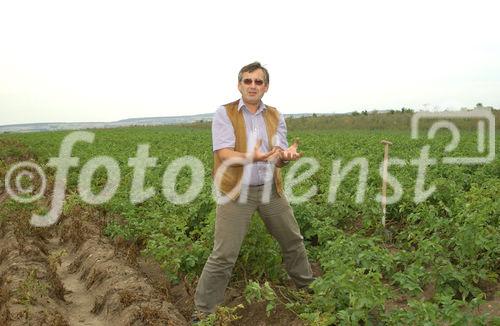 Edmund Rauchberger ist Obmann der
Erzeugerorganisation für Erdäpfel.