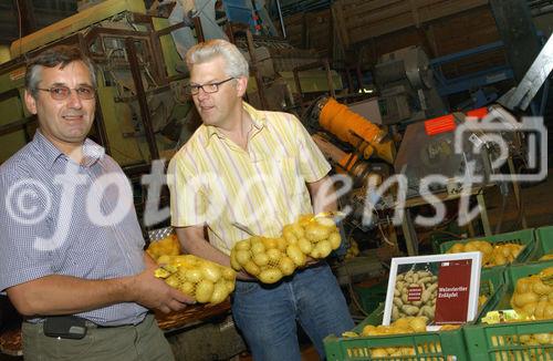 Foto v.l.: Edmund Rauchberger ist Obmann der
Erzeugerorganisation für Erdäpfel; verpackt werden die Kartoffeln in Karl
Wais' Kartoffelhandlesges. m. b. H. in
Königsbrunn.