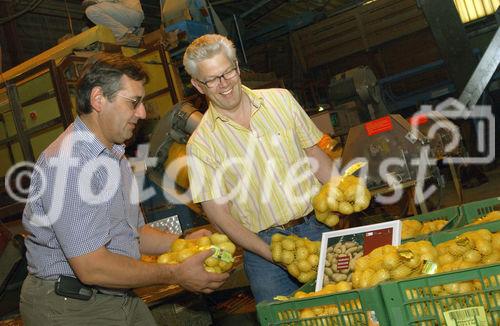 Foto v.l.: Edmund Rauchberger ist Obmann der
Erzeugerorganisation für Erdäpfel; verpackt werden die Kartoffeln in Karl
Wais' Kartoffelhandlesges. m. b. H. in
Königsbrunn.