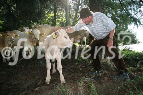 (C) fotodienst/Anna Rauchenberger - 7.8.08 - Kärnten - Genuss Profi Kärntner Blondvieh - Genuss Regionen Österreichs