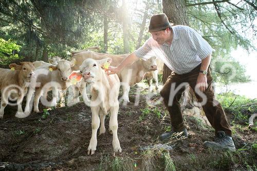 (C) fotodienst/Anna Rauchenberger - 7.8.08 - Kärnten - Genuss Profi Kärntner Blondvieh - Genuss Regionen Österreichs