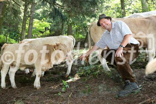 (C) fotodienst/Anna Rauchenberger - 7.8.08 - Kärnten - Genuss Profi Kärntner Blondvieh - Genuss Regionen Österreichs