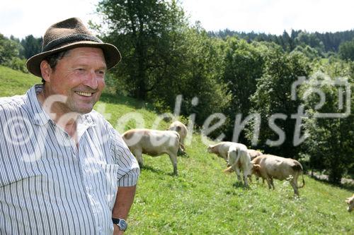 (C) fotodienst/Anna Rauchenberger - 7.8.08 - Kärnten - Genuss Profi Kärntner Blondvieh - Genuss Regionen Österreichs