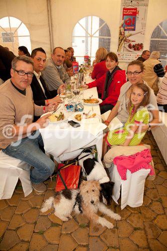 Anfang Juni lud Bauprofi Quester zum 20. Mal in Folge zu seinem traditionellen Spargelfest in Raasdorf. Über 800 Kunden, Lieferanten und Mitarbeiter folgten der Einladung. Im Bild: 