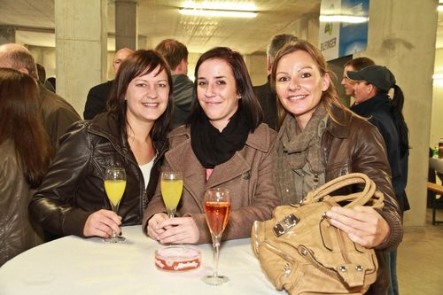 © fotodienst/Barbara Loschan – Wien, am 24.10.2012 – Richtfest bei Eurogate-Bauteilen 4 und 5: (Wien)  Bis 2014 entsteht auf den Aspanggründen im 3. Wiener Gemeindebezirk die größte Passivhausanlage Europas mit über 2.000 Wohnungen. Drei der sieben Bauabschnitte errichtet Bilfinger Baugesellschaft mbH. Am Mittwoch, den 24. Oktober 2012, wird die Dachgleiche für die Abschnitte 4 und 5 mit insgesamt 237 Miet- und Eigentumswohnungen der BAI gefeiert. „Passivhäuser sind nicht nur ein wichtiger Beitrag zum Umweltschutz, sondern auch finanziell attraktiv“, sagt Bilfinger-Geschäftsführer Ludger Koch, „denn die geringfügig höheren Errichtungspreise rechnen sich binnen weniger Jahre durch niedrigeren Energieverbrauch.“