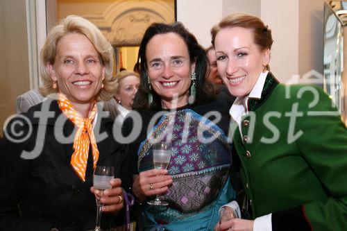 (C) fotodienst/Anna Rauchenberger - Wien, 29.04.2009 -  Eröffnung 'Von St. Barth bis St. Gilgen!' Die Ausstellung von Evamaria Thonet bei Steinwender zeigt neue Stylingkonzepte für Wohlfühloasen im Garten und auf der Terrasse und Accessoires für den sommerlichen Lifestyle.  