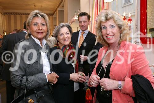 (C) fotodienst/Anna Rauchenberger - Wien, 29.04.2009 -  Eröffnung 'Von St. Barth bis St. Gilgen!' Die Ausstellung von Evamaria Thonet bei Steinwender zeigt neue Stylingkonzepte für Wohlfühloasen im Garten und auf der Terrasse und Accessoires für den sommerlichen Lifestyle.  