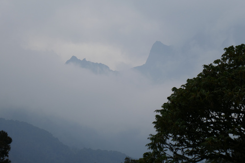 Die sagenumwobenen Mondberge im Westen Ugandas sind ein attraktives und abwechslungsreiches Wander- und Naturparadies, weitab von Tourismusströmen und Verkehr. Hier, an der Grenze zum Kongo, kann man eine Pflanzen- und Tierwelt bestaunen, die in dieser Vielfalt wohl einzigartig für den ganzen Kontinent ist, auch aufgrund des besonders feuchten und milden Klimas, das sich über mehrere Vegetationszonen von 1000 bis weit über 4000 Meter erstreckt.