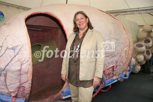 (C) fotodienst/Anna Rauchenberger - Wien 05.05.2007  - Informationsoffensive Prostatakarzinom 'Richtige Männer leben länger'. FOTO: Dr. Andrea Kdolsky (BM für Gesundheit, Frauen und Jugend).