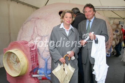 (C) fotodienst/Anna Rauchenberger - Wien 05.05.2007  - Informationsoffensive Prostatakarzinom 'Richtige Männer leben länger'. FOTO v.l.:  Ursula Stenzel (Bezirksvorsteherin), Prim. Univ-Prof. Walter Stackl (Präsident der Österreichischen Gesellschaft für Urologie). 