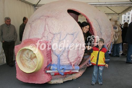 (C) fotodienst/Anna Rauchenberger - Wien 05.05.2007  - Informationsoffensive Prostatakarzinom 'Richtige Männer leben länger'. FOTO: Großes Interesse beim Prostata-Modell.