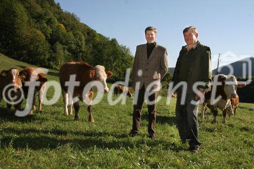 (C) Fotodienst/Anna Rauchenberger - Winzendorf - Genuss Profi Schneebergland Jungrind: Josef Schmutzer, Chef des Gasthaus Schmutzer in Winzendorf, setzt auf regionales Fleisch und Produkte aus der Umgebung. In der Küche schwingt Gattin Ute Schmutzer den Kochlöffel und verkocht dabei ausschließlich Rindfleisch aus der Region - beispielsweise von Franz Garber, einem Bio-Bauern aus Waldegg.