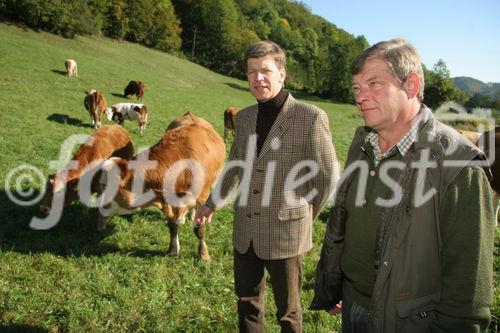 (C) Fotodienst/Anna Rauchenberger - Winzendorf - Genuss Profi Schneebergland Jungrind: Josef Schmutzer, Chef des Gasthaus Schmutzer in Winzendorf, setzt auf regionales Fleisch und Produkte aus der Umgebung. In der Küche schwingt Gattin Ute Schmutzer den Kochlöffel und verkocht dabei ausschließlich Rindfleisch aus der Region - beispielsweise von Franz Garber, einem Bio-Bauern aus Waldegg.