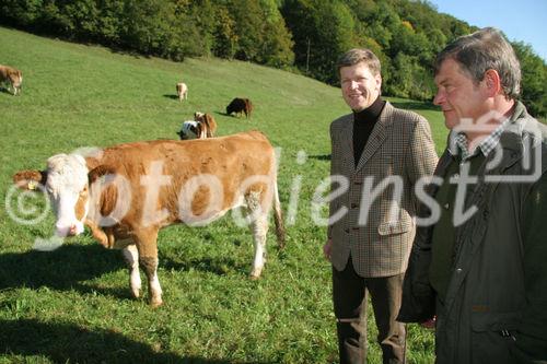 (C) Fotodienst/Anna Rauchenberger - Winzendorf - Genuss Profi Schneebergland Jungrind: Josef Schmutzer, Chef des Gasthaus Schmutzer in Winzendorf, setzt auf regionales Fleisch und Produkte aus der Umgebung. In der Küche schwingt Gattin Ute Schmutzer den Kochlöffel und verkocht dabei ausschließlich Rindfleisch aus der Region - beispielsweise von Franz Garber, einem Bio-Bauern aus Waldegg.